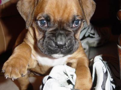 roo :)